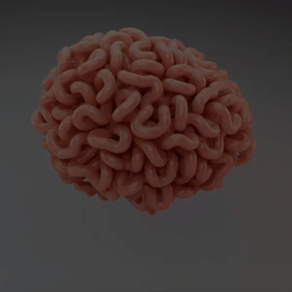ezgif.com-gif-maker (16).gif